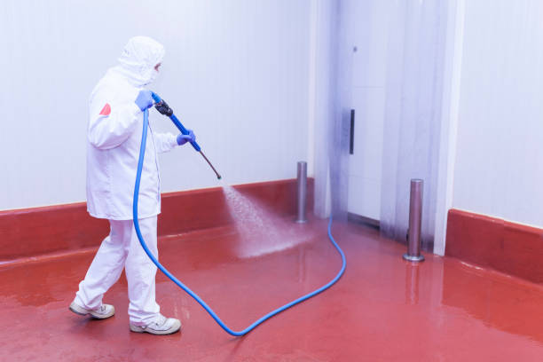 Best Paint Preparation  in Kapaau, HI